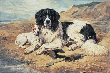 Hunde ser på badende, 1900